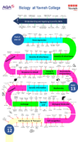 Biology – Learning Journey
